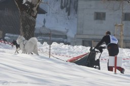 Lenk 2012 SM